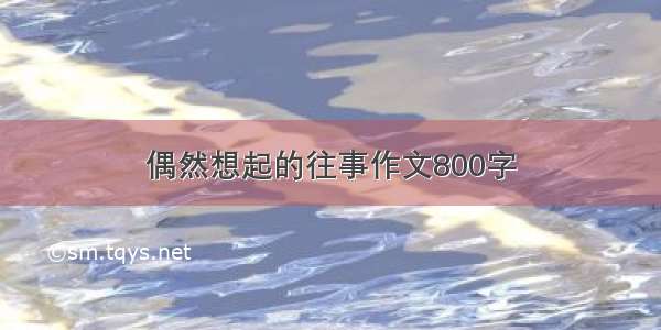 偶然想起的往事作文800字