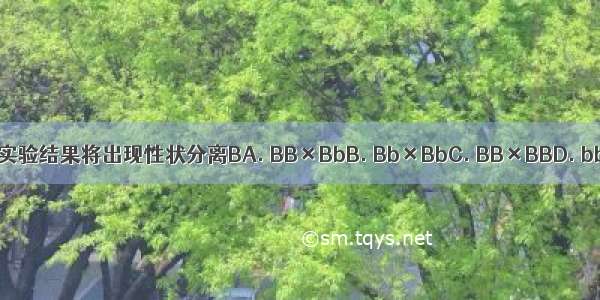 下列哪组实验结果将出现性状分离BA. BB×BbB. Bb×BbC. BB×BBD. bb×bb