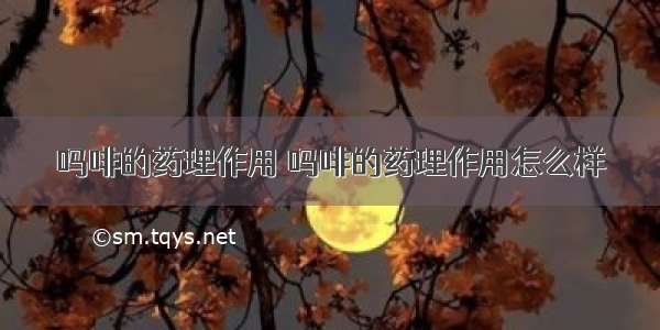 吗啡的药理作用 吗啡的药理作用怎么样