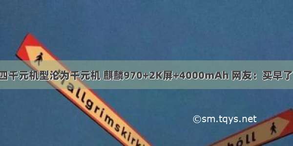 四千元机型沦为千元机 麒麟970+2K屏+4000mAh 网友：买早了！