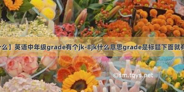 【jk是什么】英语中年级grade有个jk-8jk什么意思grade是标题下面就有个jk-8...