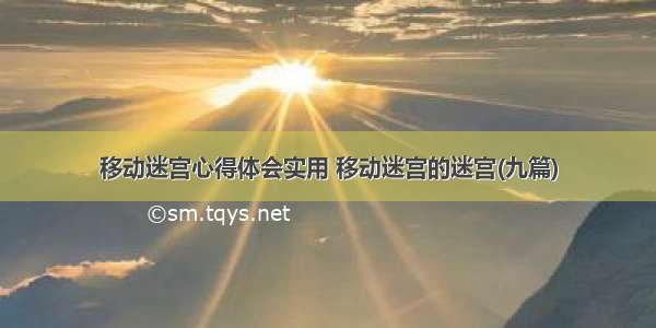 移动迷宫心得体会实用 移动迷宫的迷宫(九篇)