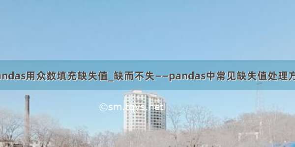 pandas用众数填充缺失值_缺而不失——pandas中常见缺失值处理方法