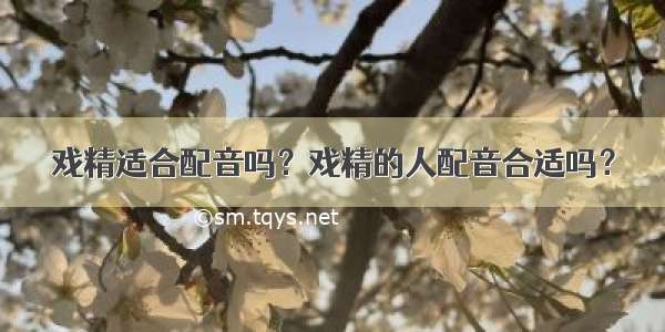 戏精适合配音吗？戏精的人配音合适吗？