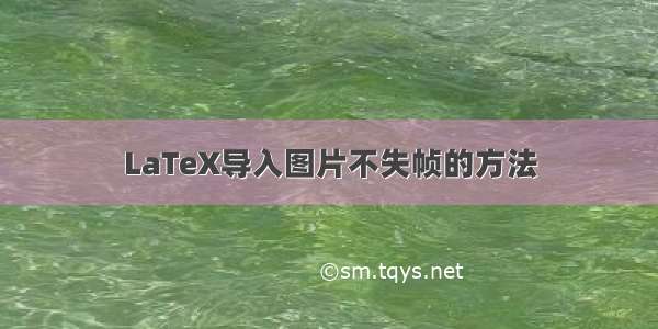 LaTeX导入图片不失帧的方法