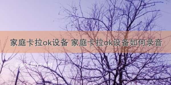 家庭卡拉ok设备 家庭卡拉ok设备如何录音