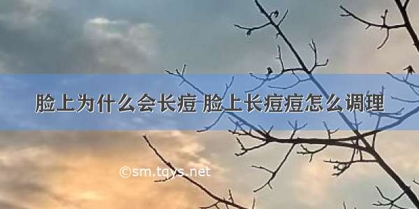 脸上为什么会长痘 脸上长痘痘怎么调理