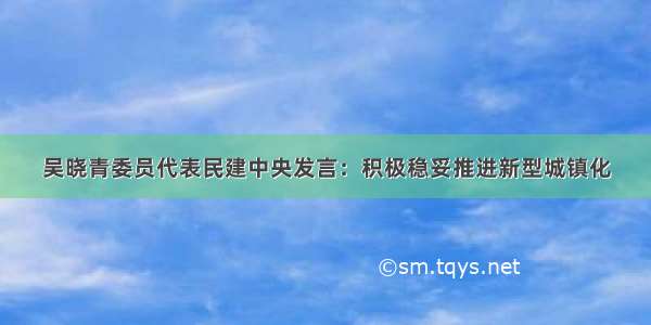 吴晓青委员代表民建中央发言：积极稳妥推进新型城镇化