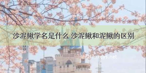 沙泥鳅学名是什么 沙泥鳅和泥鳅的区别