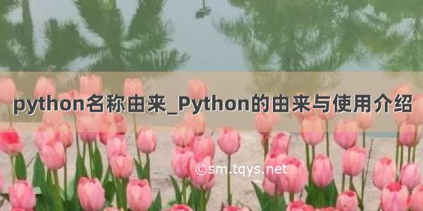 python名称由来_Python的由来与使用介绍