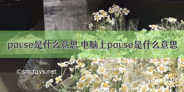 pause是什么意思 电脑上pause是什么意思