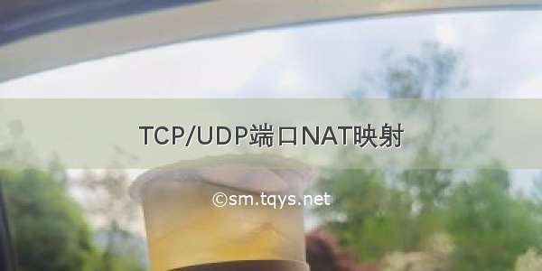 TCP/UDP端口NAT映射