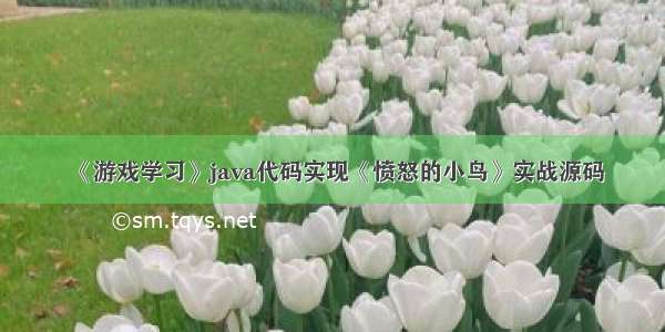 《游戏学习》java代码实现《愤怒的小鸟》实战源码