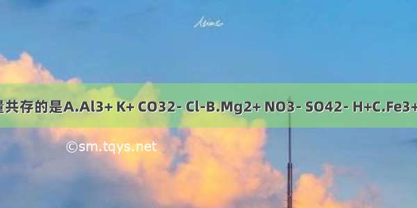 下列离子组在溶液中能大量共存的是A.Al3+ K+ CO32- Cl-B.Mg2+ NO3- SO42- H+C.Fe3+ Na+ ClO- SO42-D.AlO2-