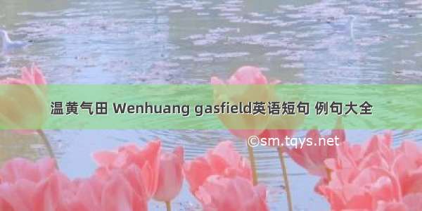 温黄气田 Wenhuang gasfield英语短句 例句大全