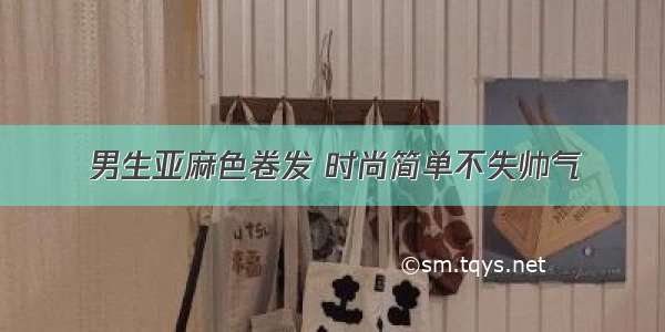 男生亚麻色卷发 时尚简单不失帅气