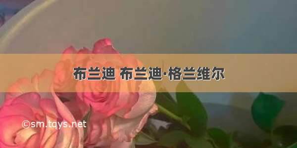 布兰迪 布兰迪·格兰维尔