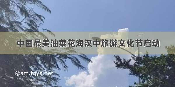中国最美油菜花海汉中旅游文化节启动