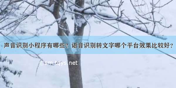 声音识别小程序有哪些？语音识别转文字哪个平台效果比较好？