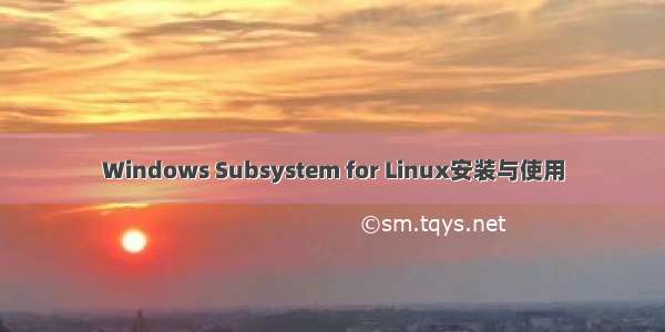 Windows Subsystem for Linux安装与使用