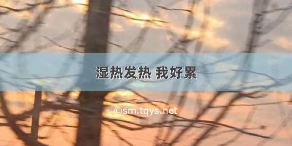 湿热发热 我好累