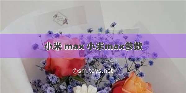 小米 max 小米max参数