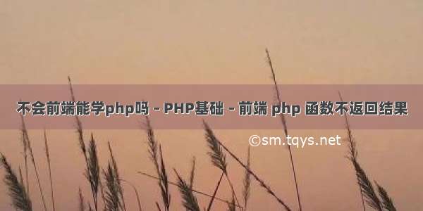 不会前端能学php吗 – PHP基础 – 前端 php 函数不返回结果