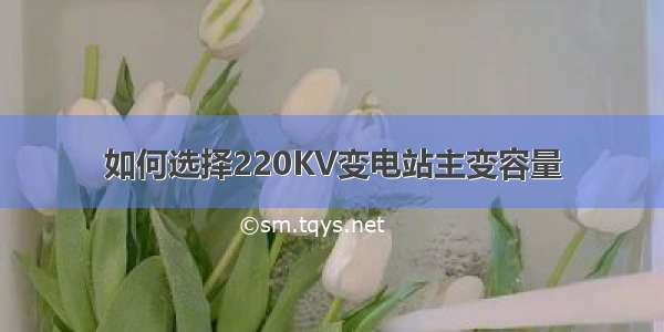 如何选择220KV变电站主变容量