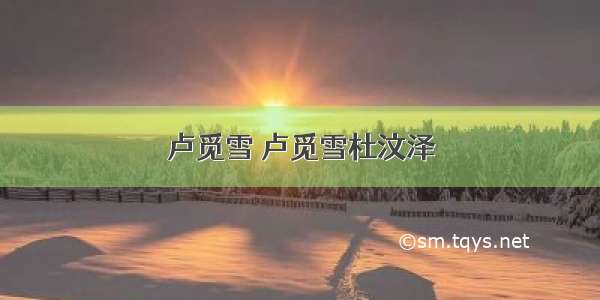 卢觅雪 卢觅雪杜汶泽