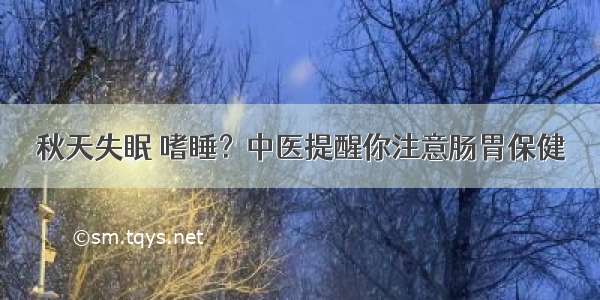 秋天失眠 嗜睡？中医提醒你注意肠胃保健