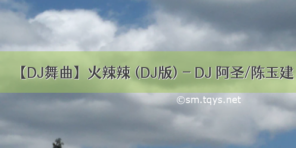 【DJ舞曲】火辣辣 (DJ版) - DJ 阿圣/陈玉建