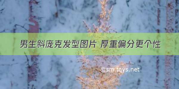 男生斜庞克发型图片 厚重偏分更个性