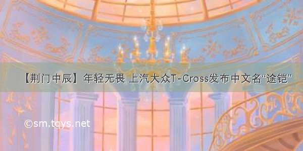 【荆门中辰】年轻无畏 上汽大众T-Cross发布中文名“途铠”