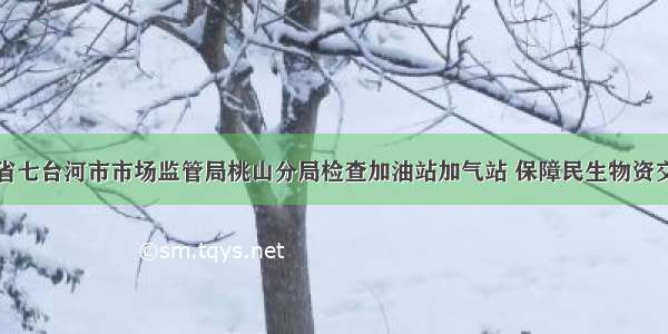 黑龙江省七台河市市场监管局桃山分局检查加油站加气站 保障民生物资交易安全