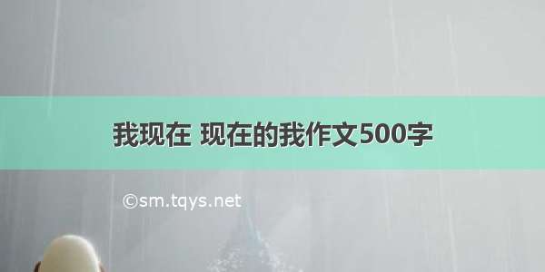 我现在 现在的我作文500字