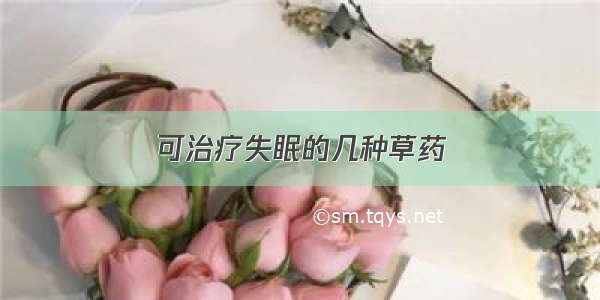 可治疗失眠的几种草药