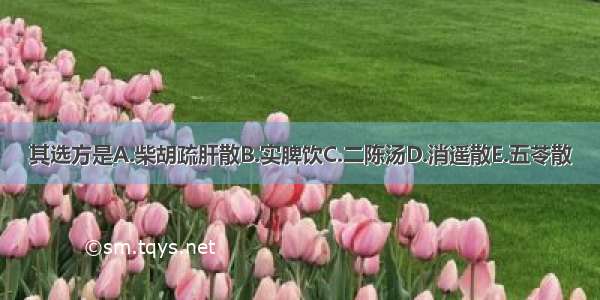 其选方是A.柴胡疏肝散B.实脾饮C.二陈汤D.消遥散E.五苓散