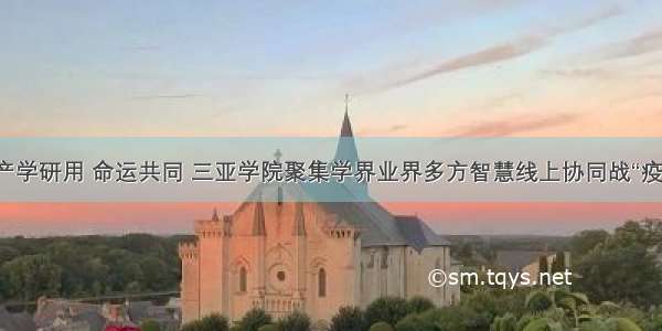 产学研用 命运共同 三亚学院聚集学界业界多方智慧线上协同战“疫”