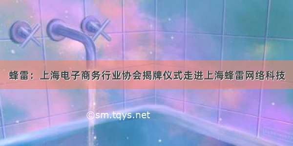 蜂雷：上海电子商务行业协会揭牌仪式走进上海蜂雷网络科技