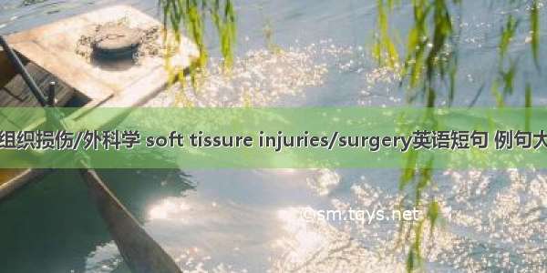 软组织损伤/外科学 soft tissure injuries/surgery英语短句 例句大全