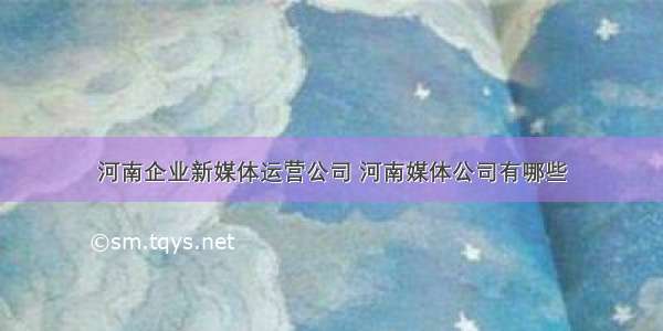 河南企业新媒体运营公司 河南媒体公司有哪些