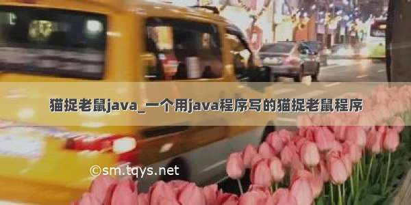 猫捉老鼠java_一个用java程序写的猫捉老鼠程序