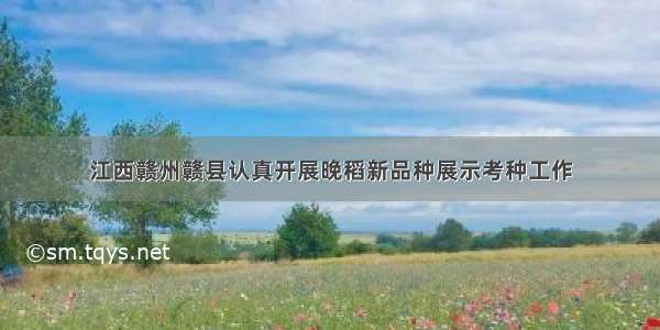江西赣州赣县认真开展晚稻新品种展示考种工作