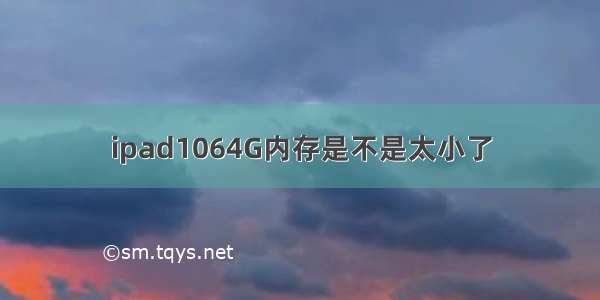 ipad1064G内存是不是太小了