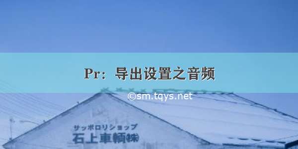 Pr：导出设置之音频