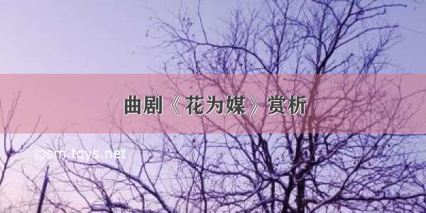 曲剧《花为媒》赏析