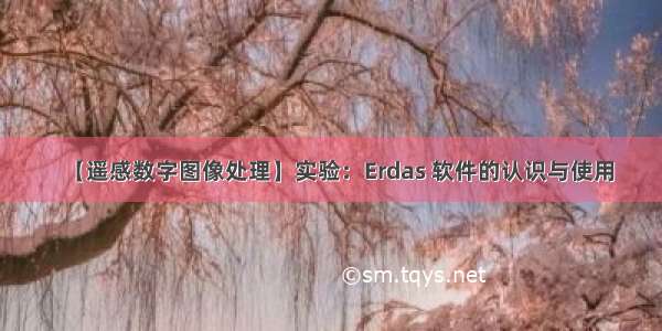 【遥感数字图像处理】实验：Erdas 软件的认识与使用