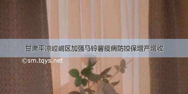 甘肃平凉崆峒区加强马铃薯疫病防控保增产增收