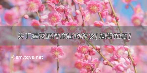 关于莲花精神象征的作文(通用10篇)