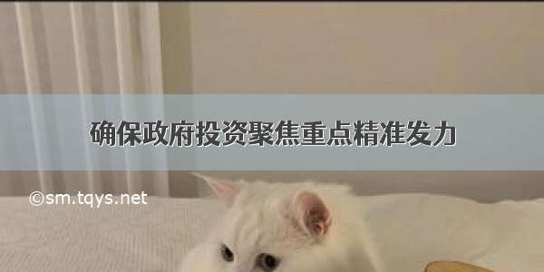 确保政府投资聚焦重点精准发力